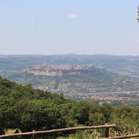 Agriturismo Fattoria Poggio Boalaio Orvieto Bagian luar foto