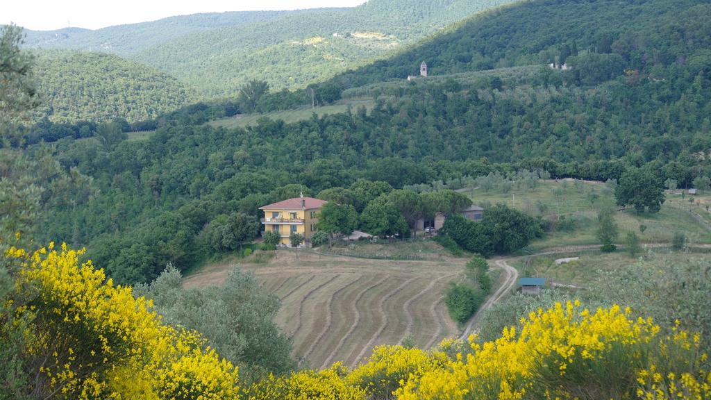 Agriturismo Fattoria Poggio Boalaio Orvieto Bagian luar foto
