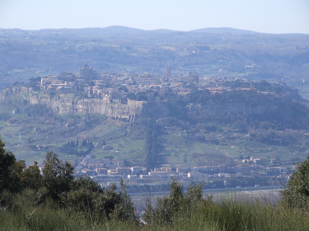 Agriturismo Fattoria Poggio Boalaio Orvieto Bagian luar foto