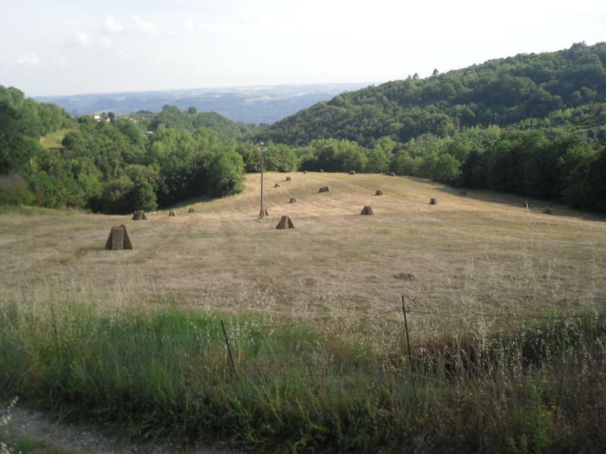 Agriturismo Fattoria Poggio Boalaio Orvieto Bagian luar foto